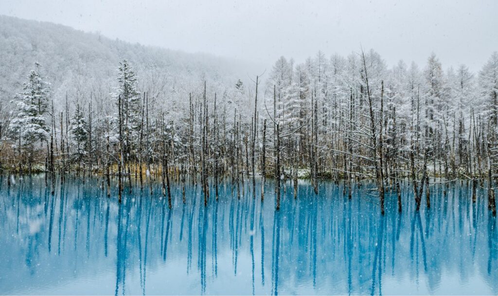 Stagno blu di Hokkaido
