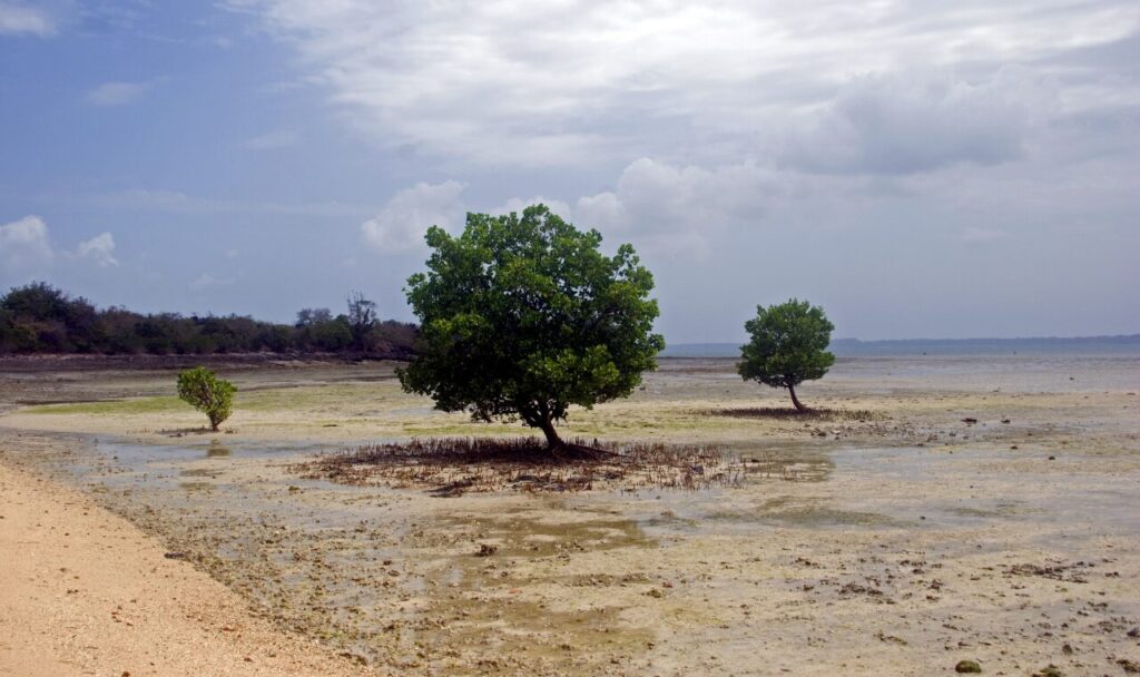 Isola di Tumbatu, Zanzibar